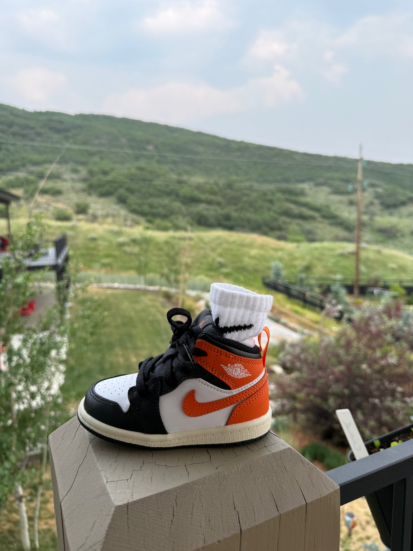 Jordan 1 Retro Mid [ORANGE STARFISH] Standing Sneaker Putter Cover