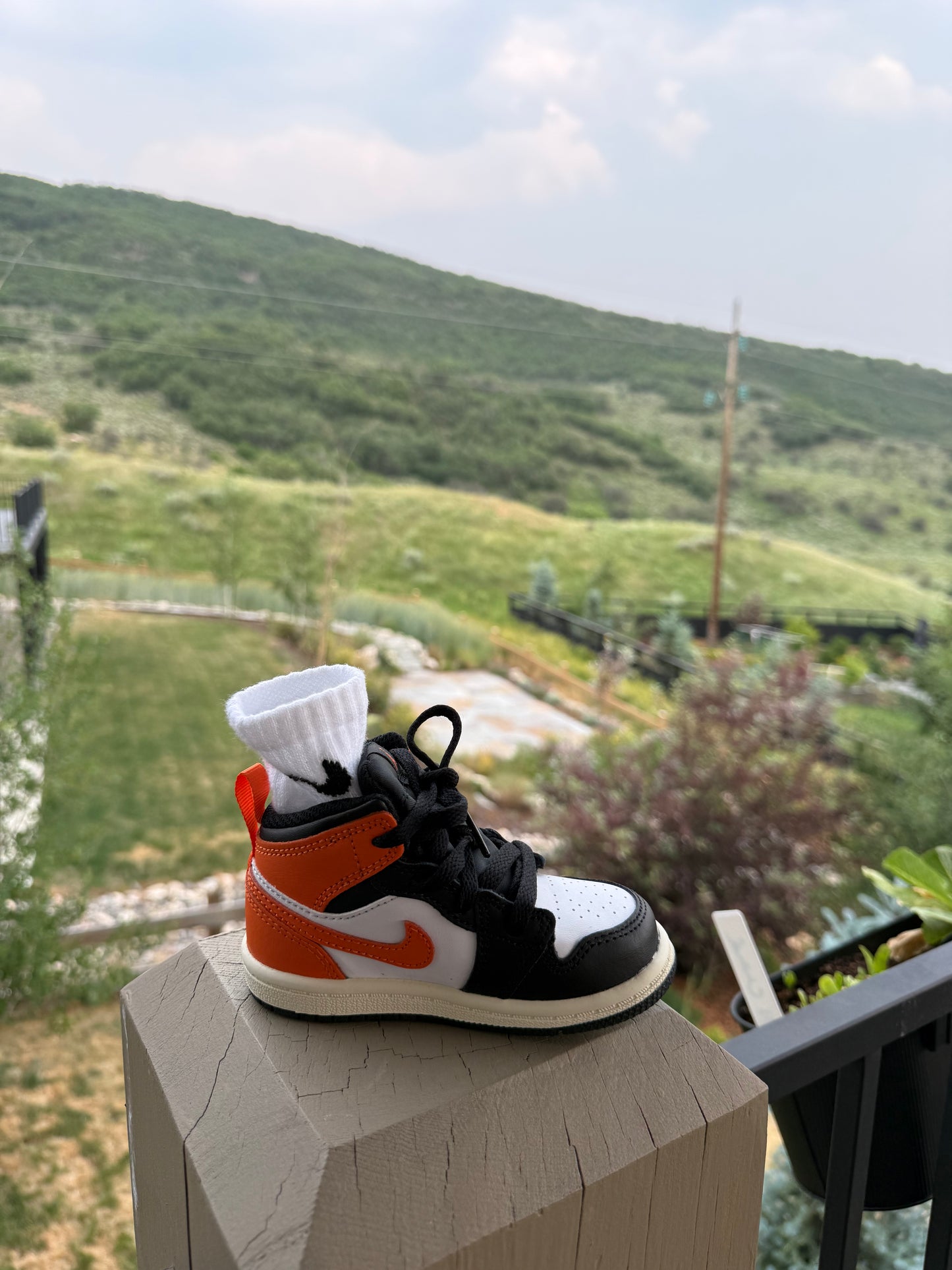 Jordan 1 Retro Mid [ORANGE STARFISH] Standing Sneaker Putter Cover