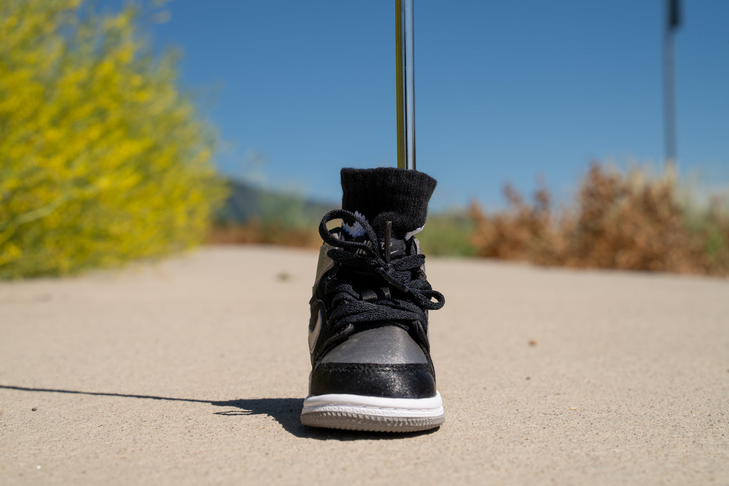 Jordan 1 Retro High OG [MEDIUM GREY METALLIC] Standing Sneaker Putter Cover
