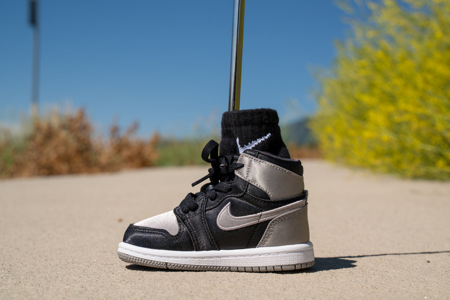 Jordan 1 Retro High OG [MEDIUM GREY METALLIC] Standing Sneaker Putter Cover