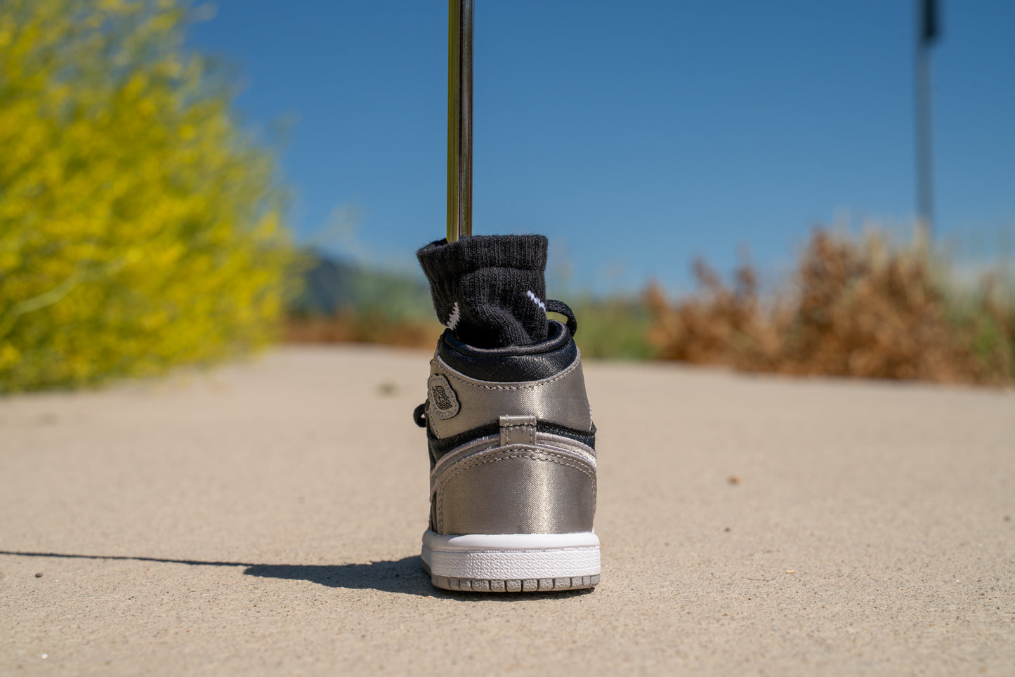 Jordan 1 Retro High OG [MEDIUM GREY METALLIC] Standing Sneaker Putter Cover