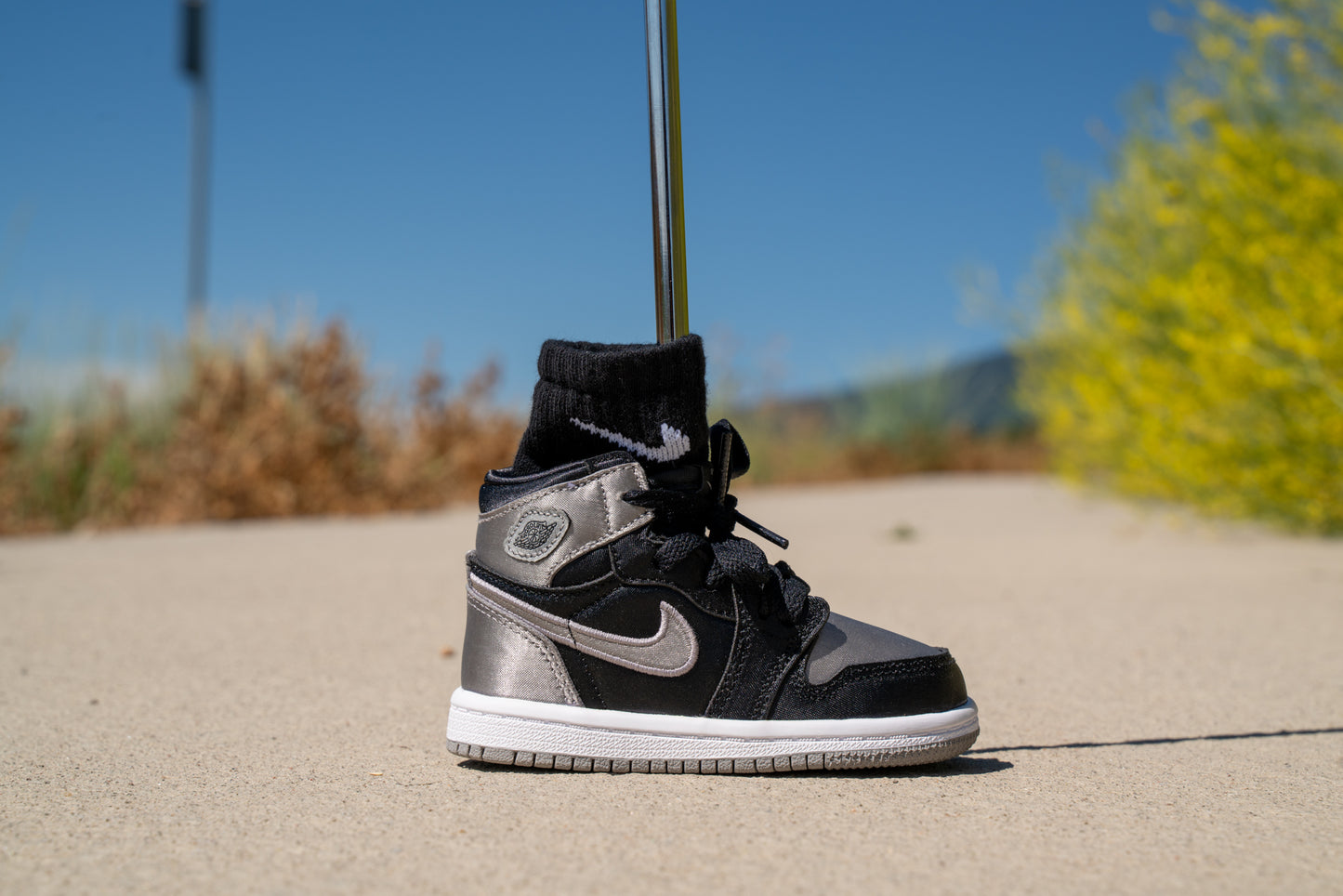 Jordan 1 Retro High OG [MEDIUM GREY METALLIC] Standing Sneaker Putter Cover