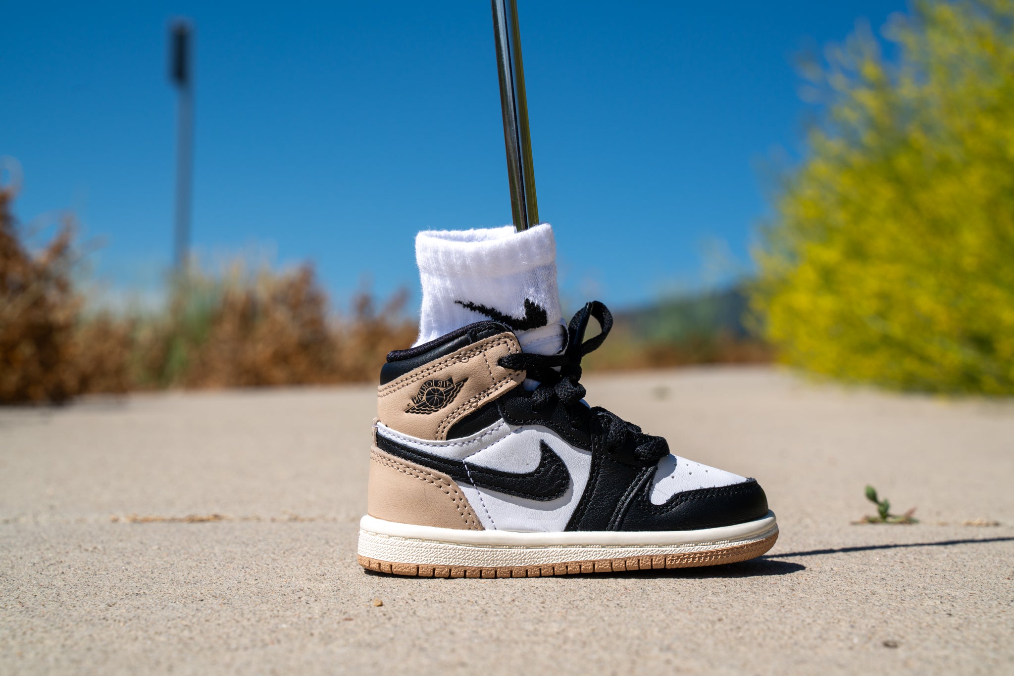 All Sneaker Putter Covers – SneakerPutt