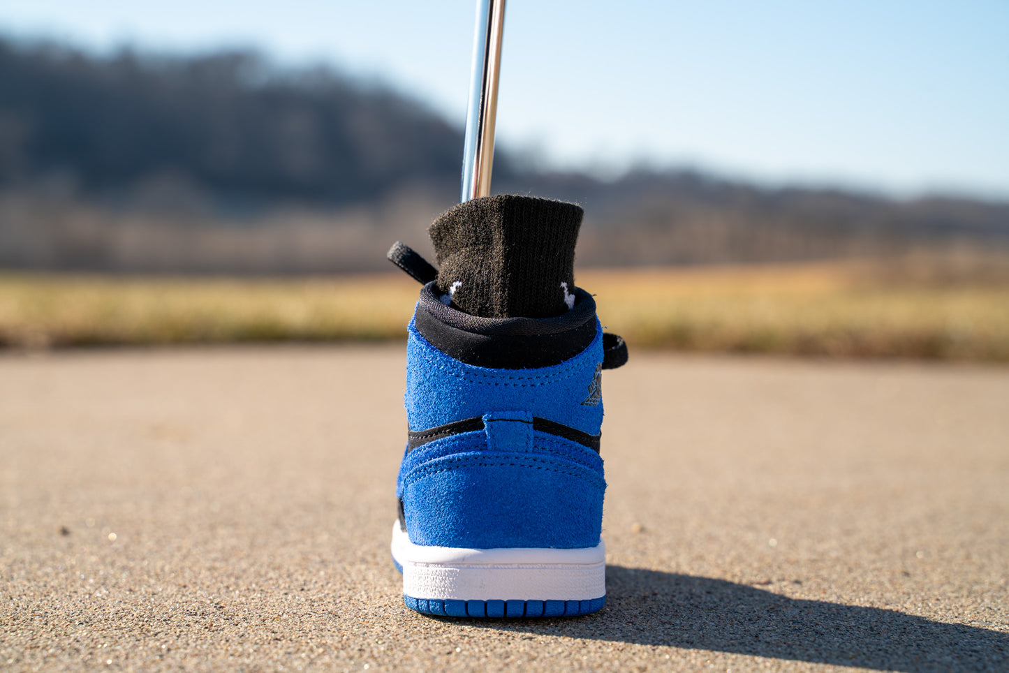Jordan 1 Retro High OG [ROYAL BLUE] Standing Sneaker Putter Cover - Back