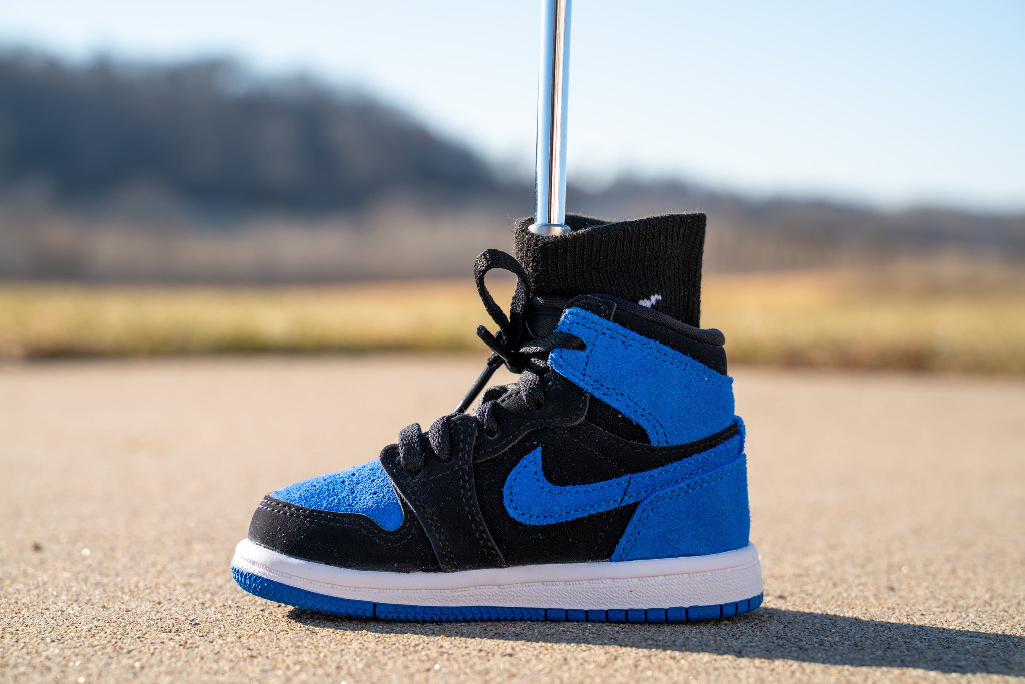 Jordan 1 Retro High OG [ROYAL BLUE] Standing Sneaker Putter Cover