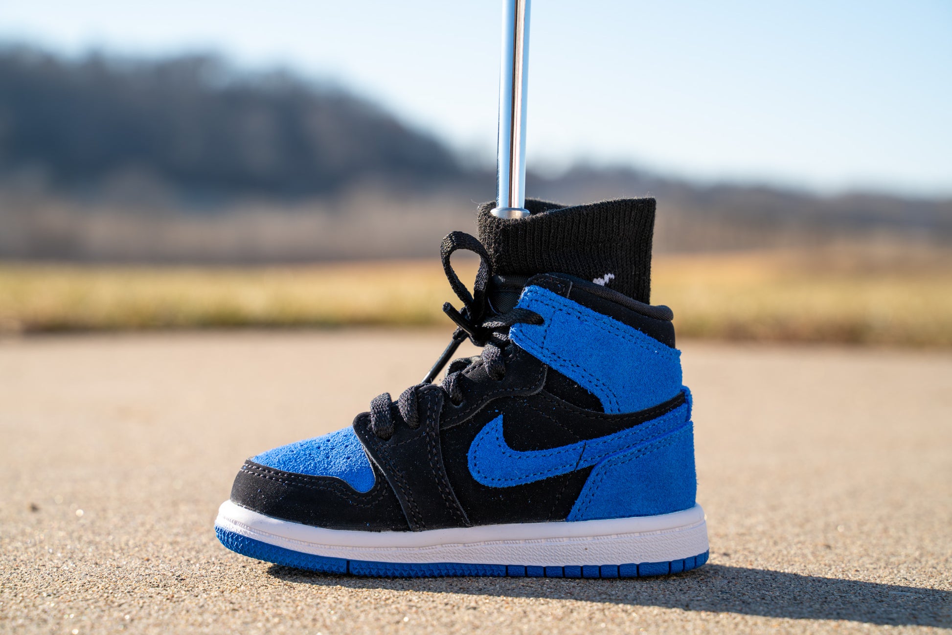 Jordan 1 Retro High OG [ROYAL BLUE] Standing Sneaker Putter Cover - Left