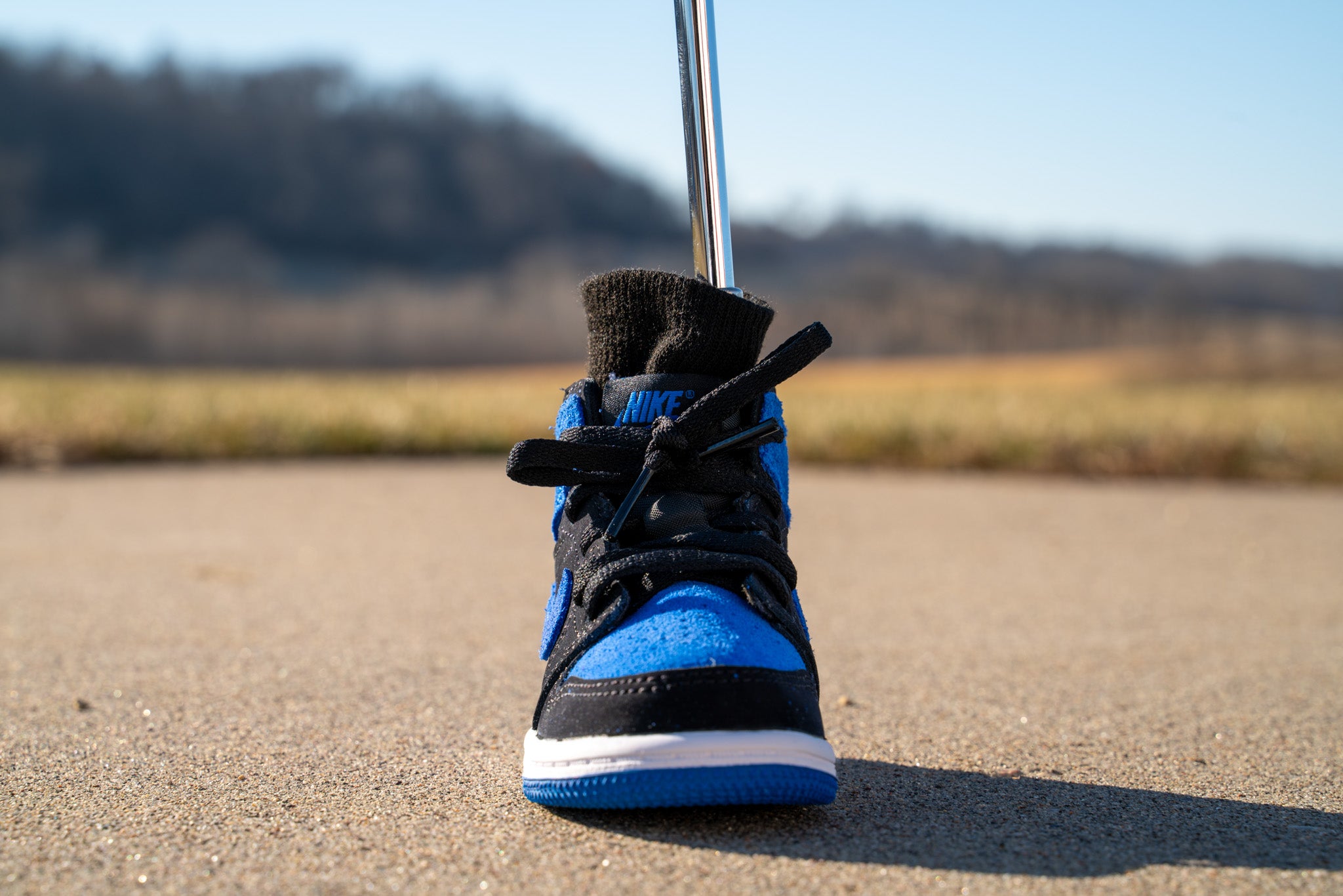 Jordan 1 Retro High OG [ROYAL BLUE] Standing Sneaker Putter Cover –  SneakerPutt