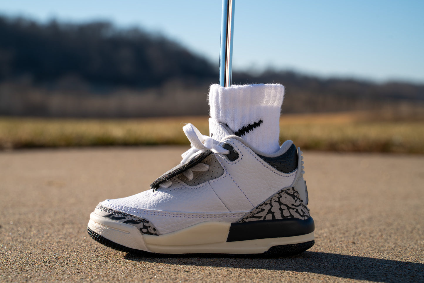 Jordan 3 Retro [HIDE N SNEAK] Standing Sneaker Putter Cover - Left