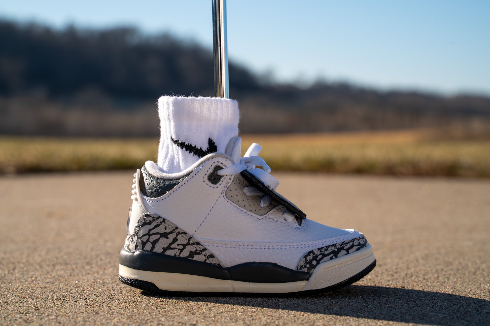 Jordan 3 Retro [HIDE N SNEAK] Standing Sneaker Putter Cover - Right
