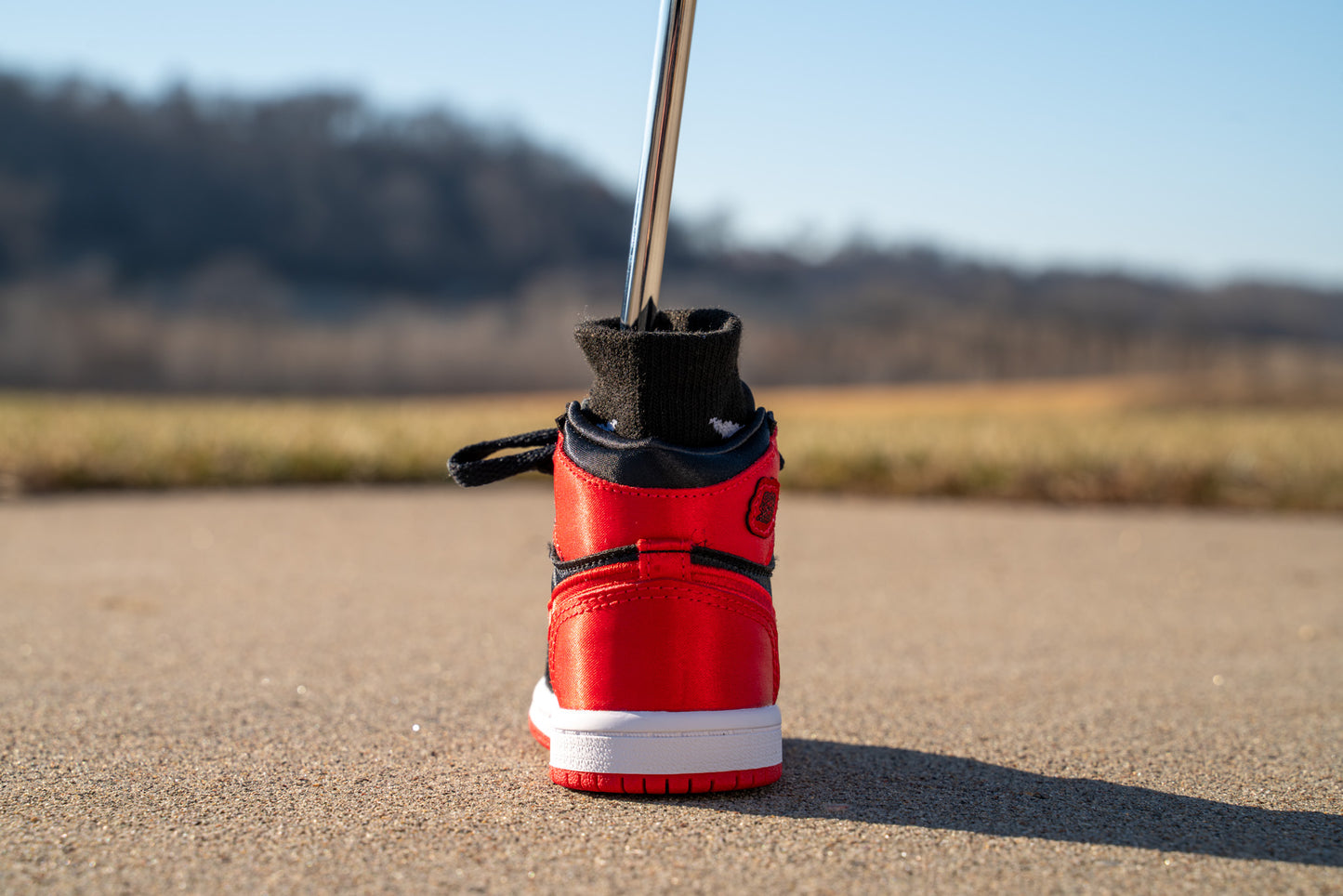 Jordan 1 Retro High OG [UNIVERSITY RED] Standing Sneaker Putter Cover - Back