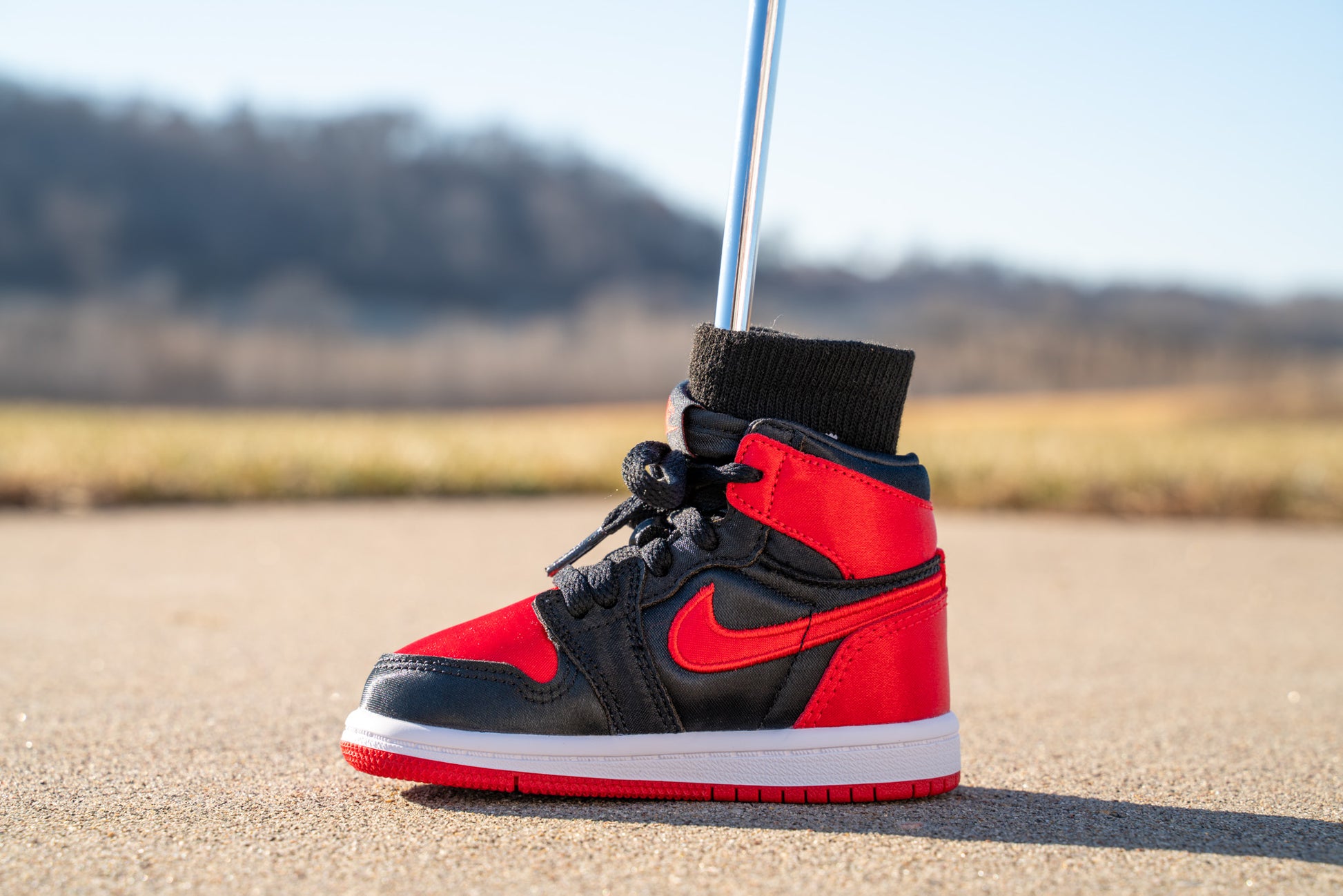Jordan 1 Retro High OG [UNIVERSITY RED] Standing Sneaker Putter Cover - Left