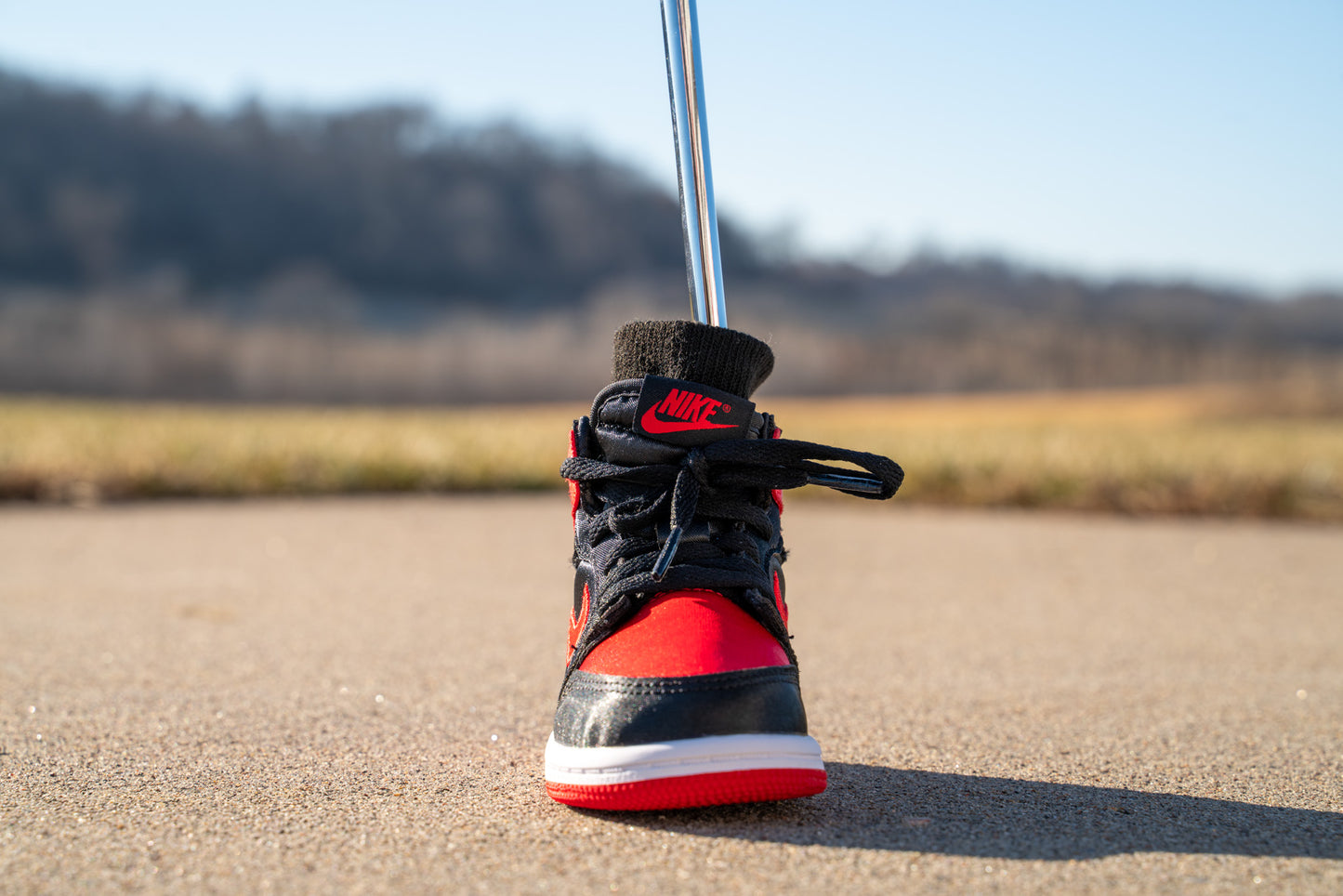 Jordan 1 Retro High OG [UNIVERSITY RED] Standing Sneaker Putter Cover - Front