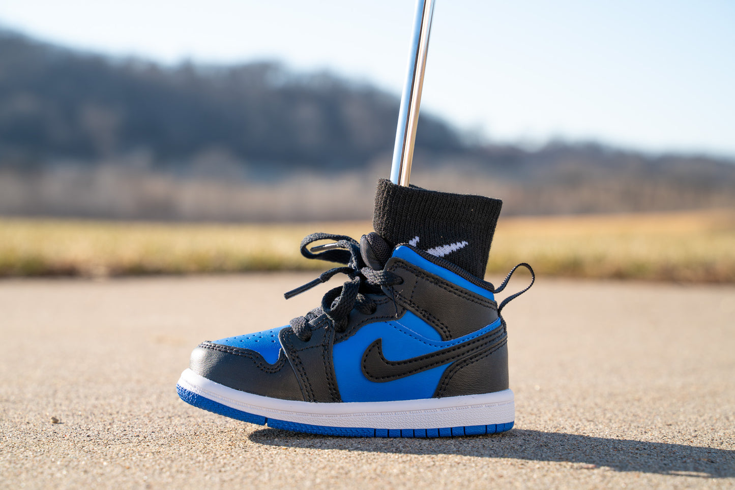 Jordan 1 Mid [ROYAL BLUE] Standing Sneaker Putter Cover - Left