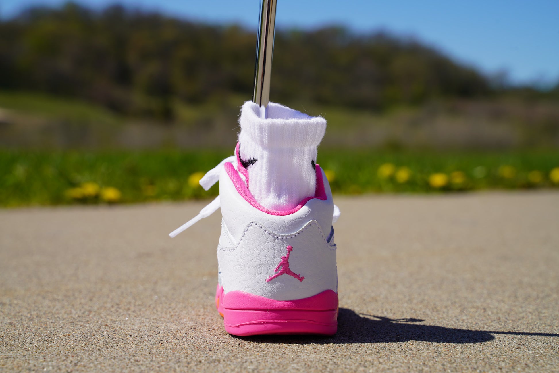 Jordan 5 Retro [PINKSICLE] Standing Sneaker Putter Cover - Back