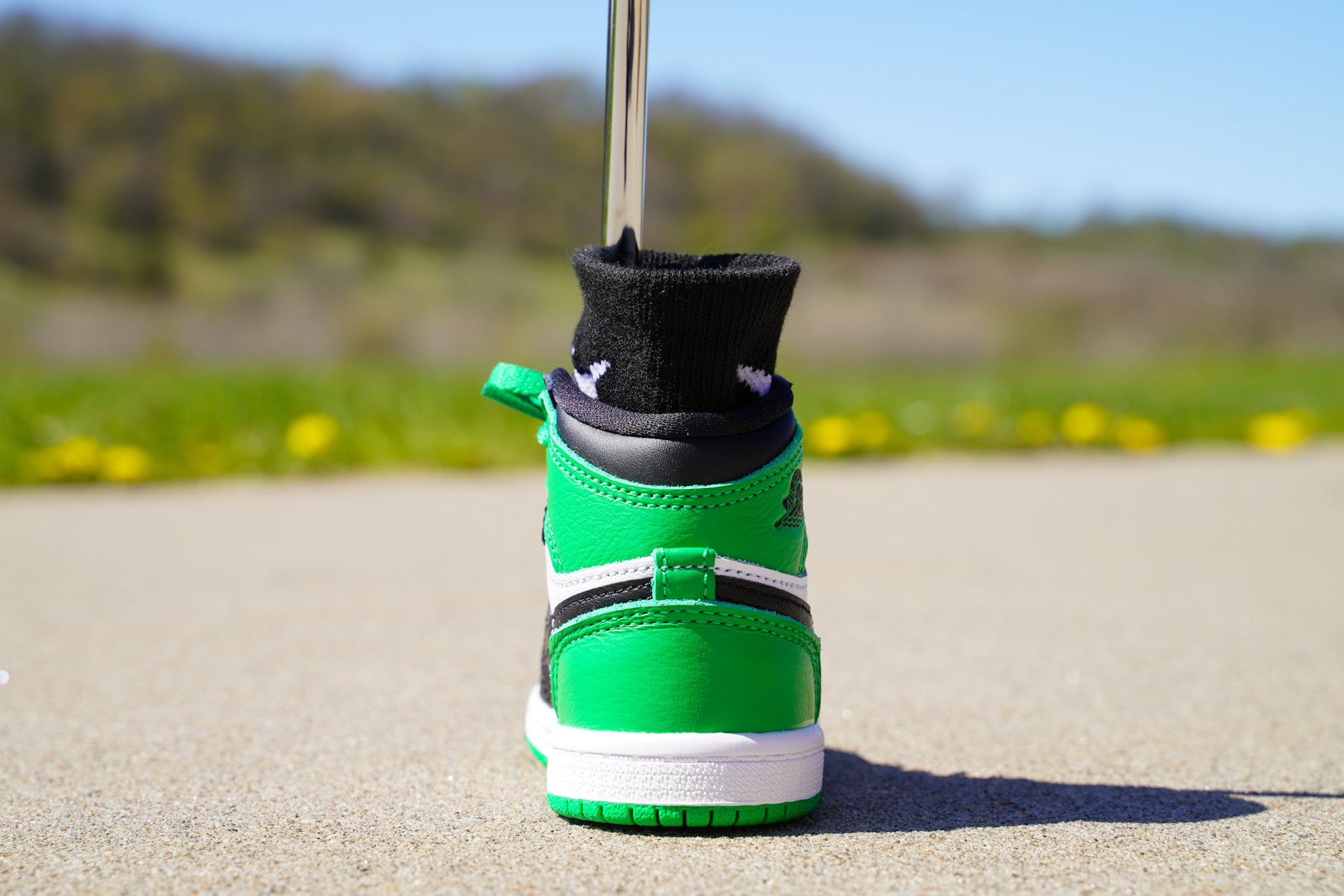 Jordan 1 Retro High OG [LUCKY GREEN] Standing Sneaker Putter Cover