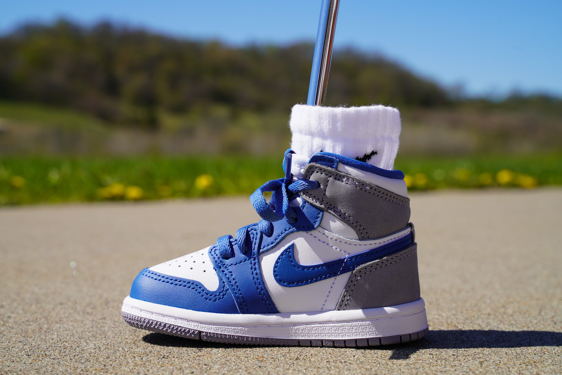 Jordan 1 Retro High OG [TRUE BLUE CEMENT] Standing Sneaker Putter Cover - Left