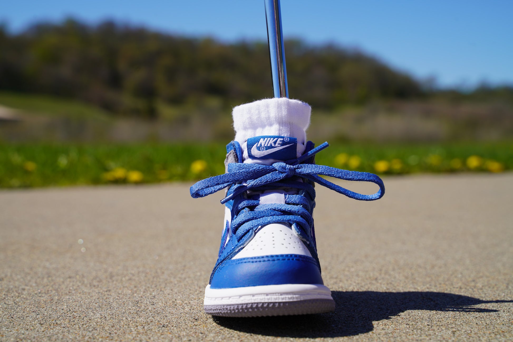 Jordan 1 Retro High OG [TRUE BLUE CEMENT] Standing Sneaker Putter Cover - Front