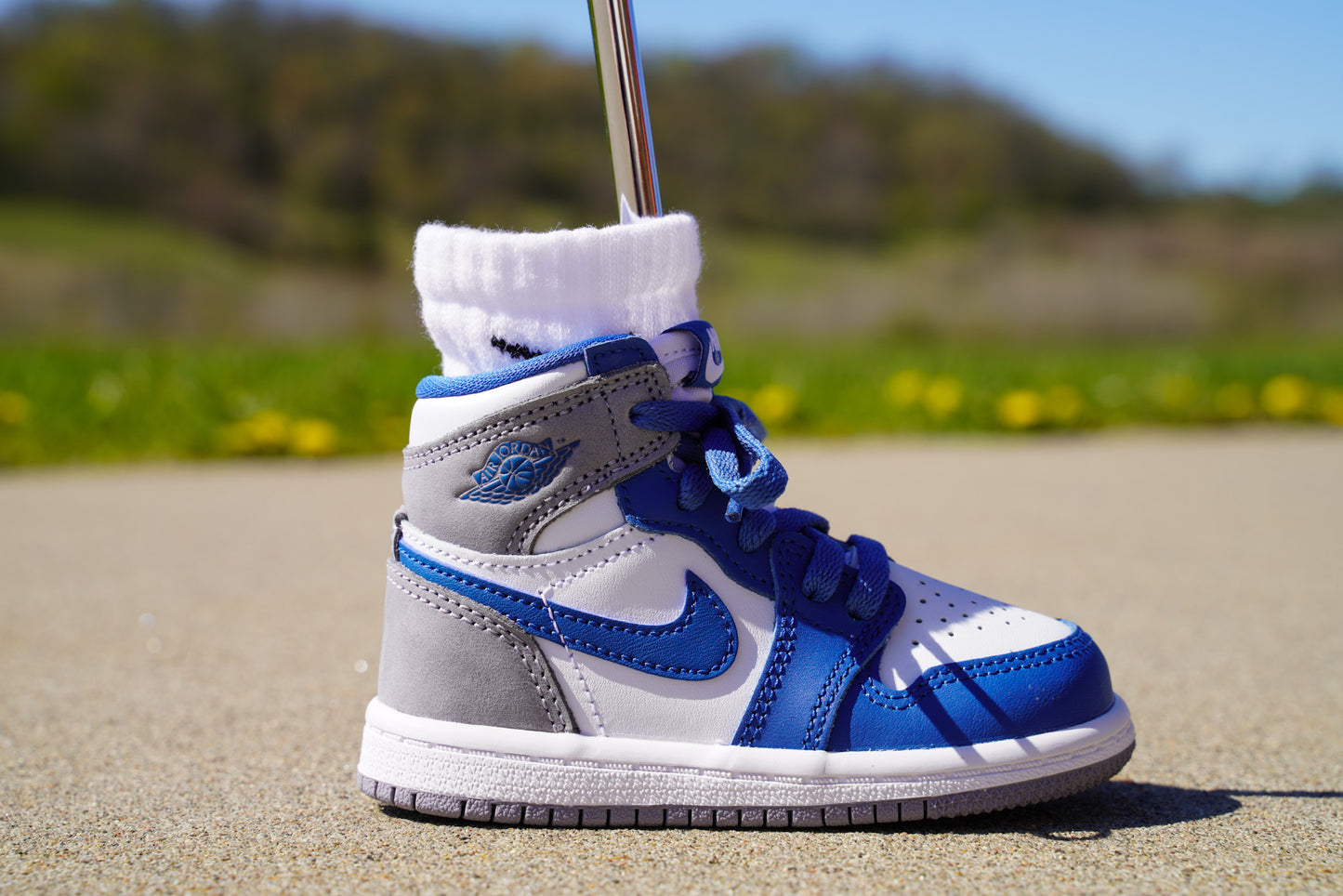 Jordan 1 Retro High OG [TRUE BLUE CEMENT] Standing Sneaker Putter Cover - Right