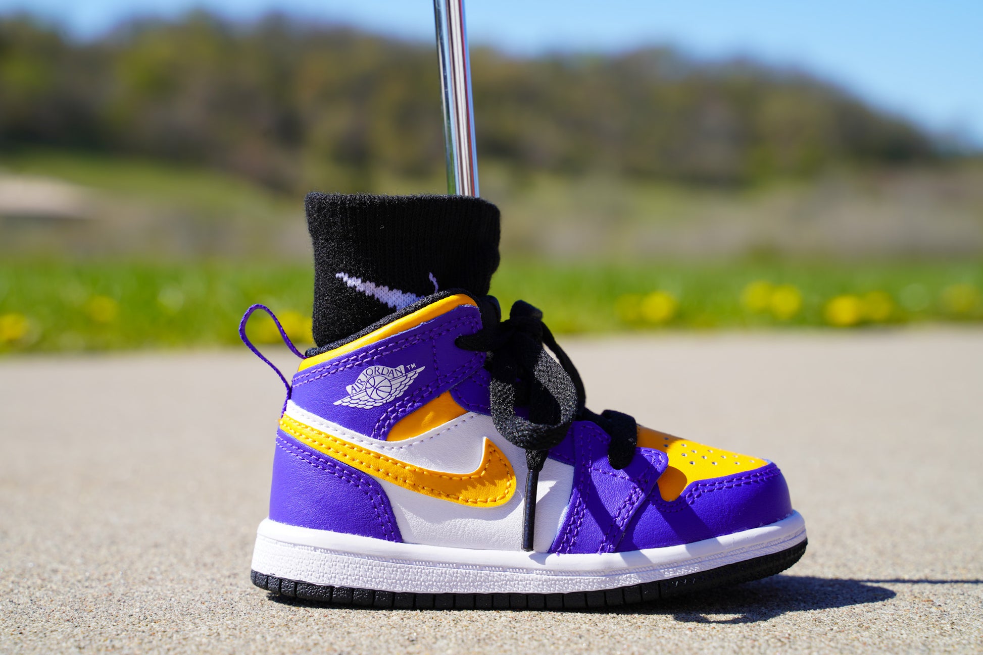 Purple Aj1 Lakers Nike Sb X Jordan Court Purple Online