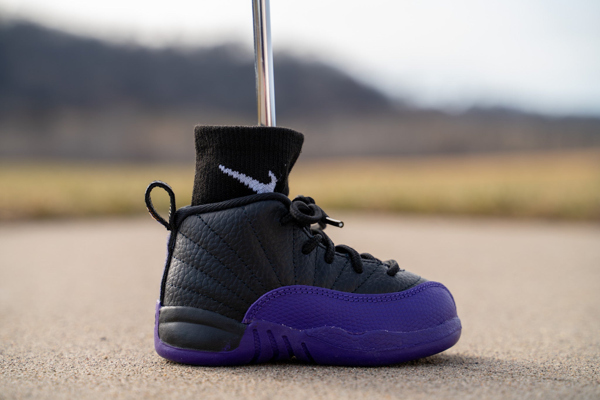 Jordans 12 purple shops and black