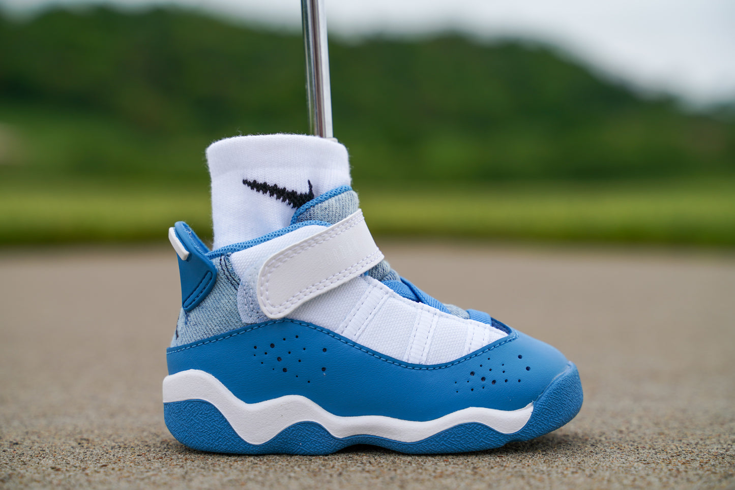 Jordan 6 Rings [DUTCH BLUE] Standing Sneaker Putter Cover - Right